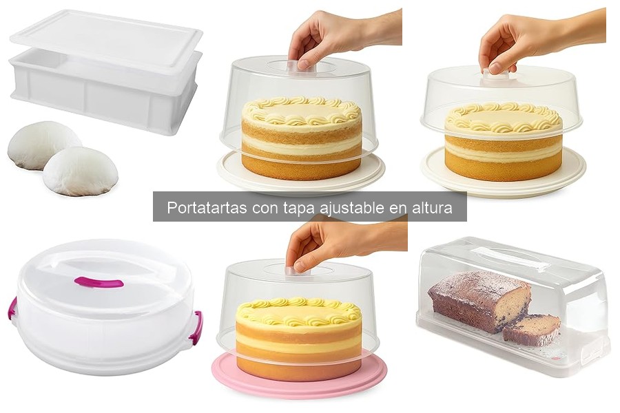 Cómo elegir el mejor portatartas con tapa ajustable